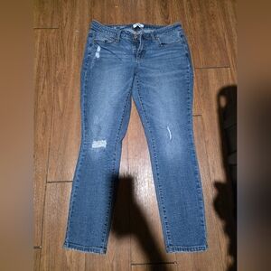 Sonoma Women's Blue Skinny Jeans